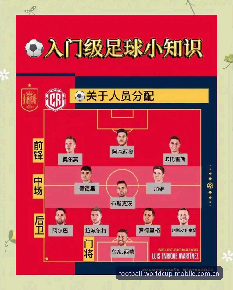 世界杯体育投注体验操作教程：从安装到实战的完整指南